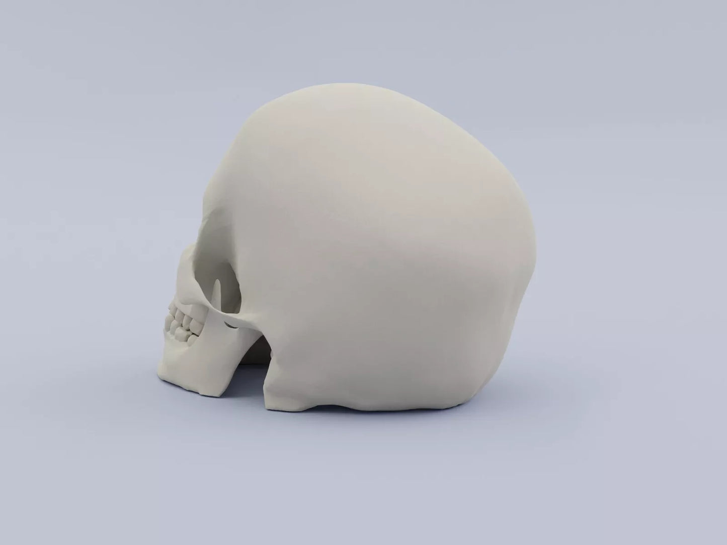 Full-size 3d-Printed  SANDMAN Corinthian Skull 3" in size - Cosplay or Display.